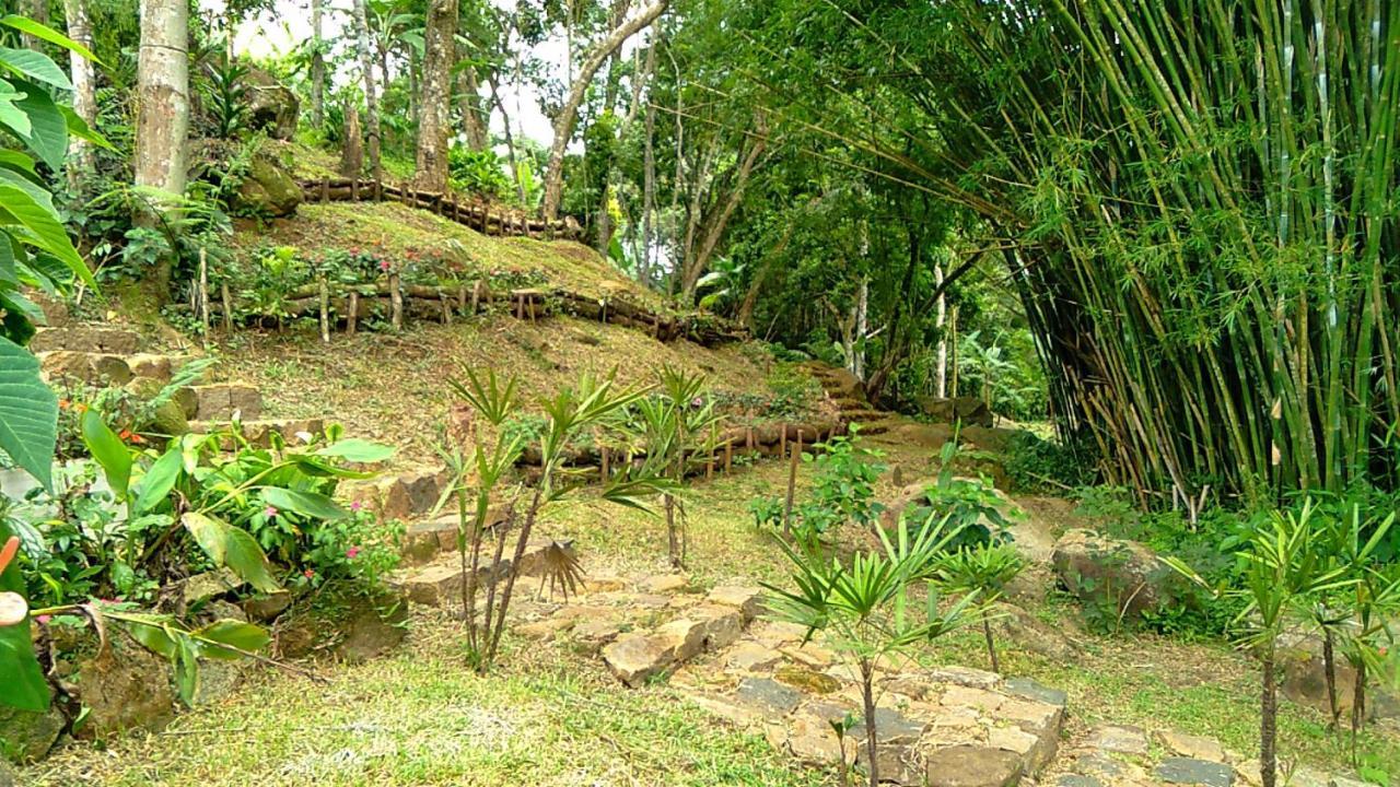 Pousada Hang Conectada Com A Natureza Florianópolis 外观 照片