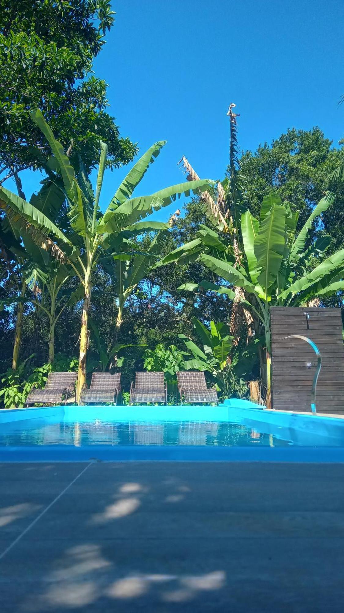 Pousada Hang Conectada Com A Natureza Florianópolis 外观 照片